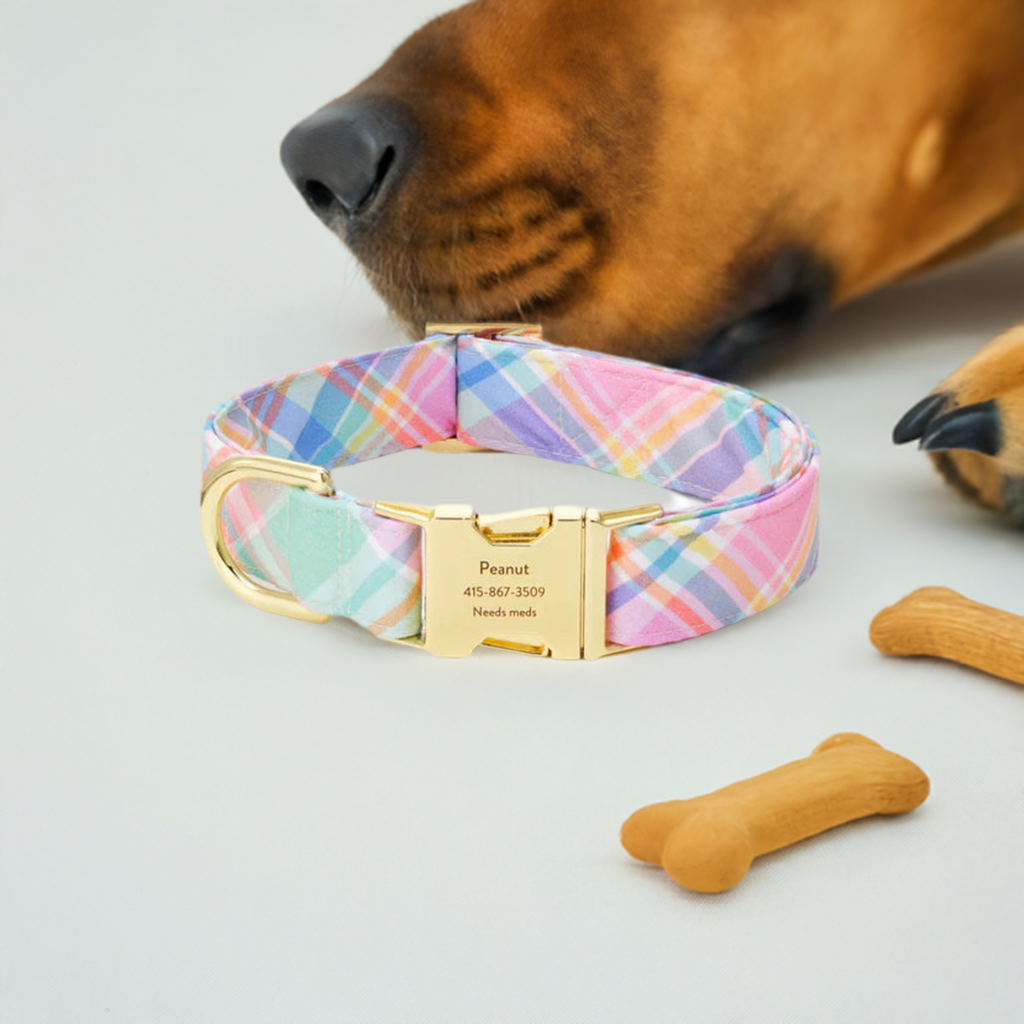 Hundehalsbånd
